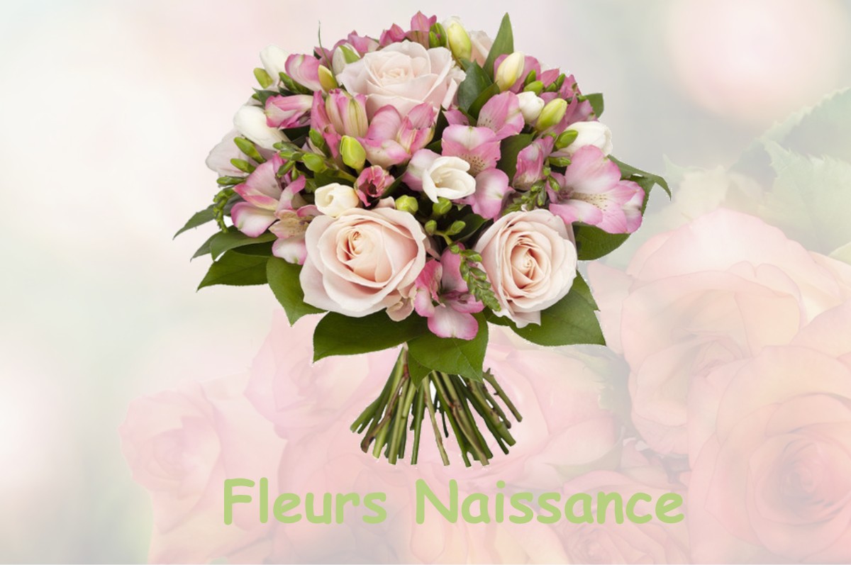 fleurs naissance MONTLOUIS-SUR-LOIRE